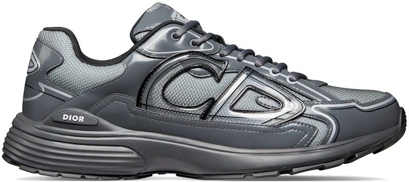 Dior B30 Light Gray Gray