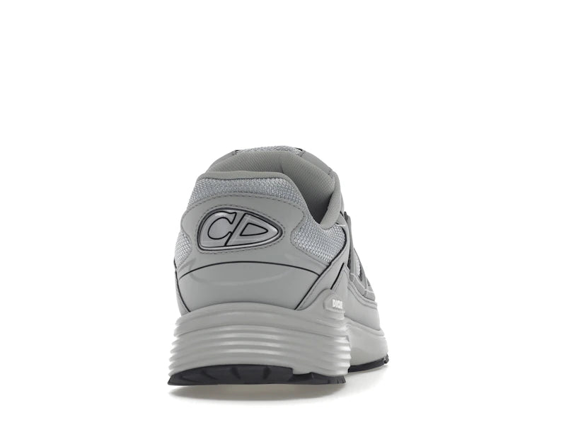 Dior B30 Gray